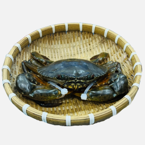 Cua Thịt Cà Mau Y3