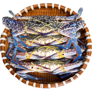 Ghẹ Xanh Sống Size 4-5 Con/kg