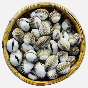 Sò Huyết VN Sống 40-50